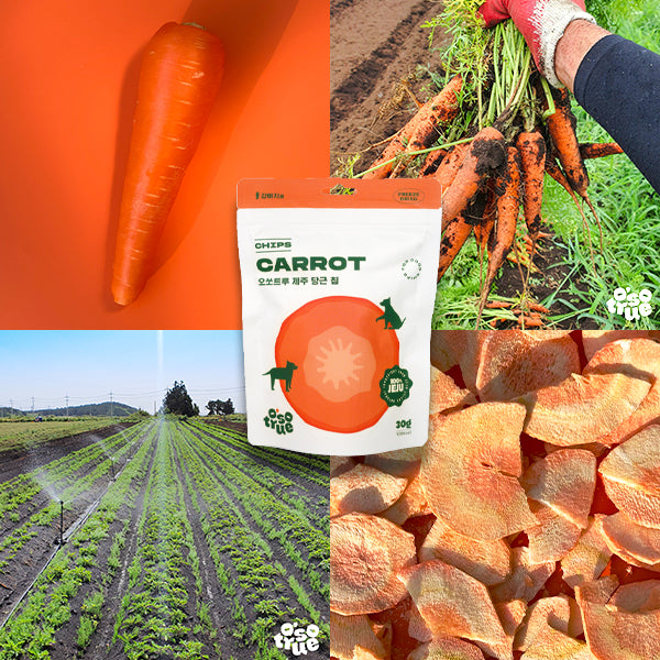 Jeju Freeze-Dried Carrot Chips
