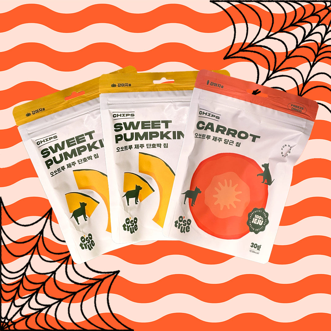 Halloween Fest Bundle